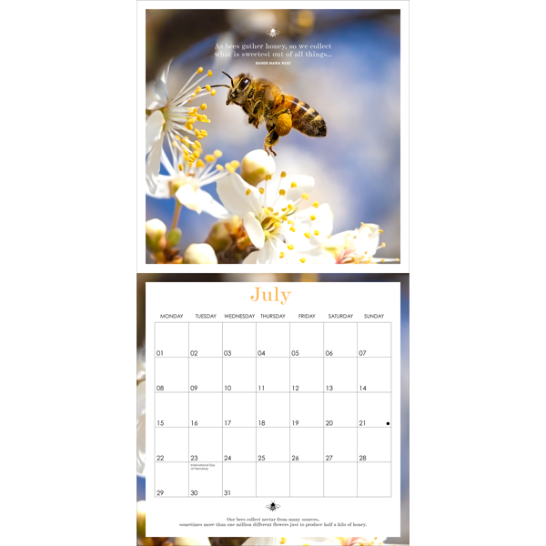 Bee Calendar 2024