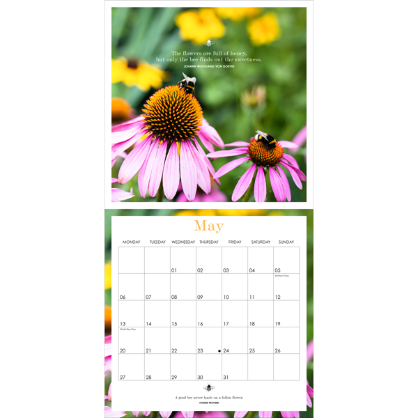 Bee Calendar 2024