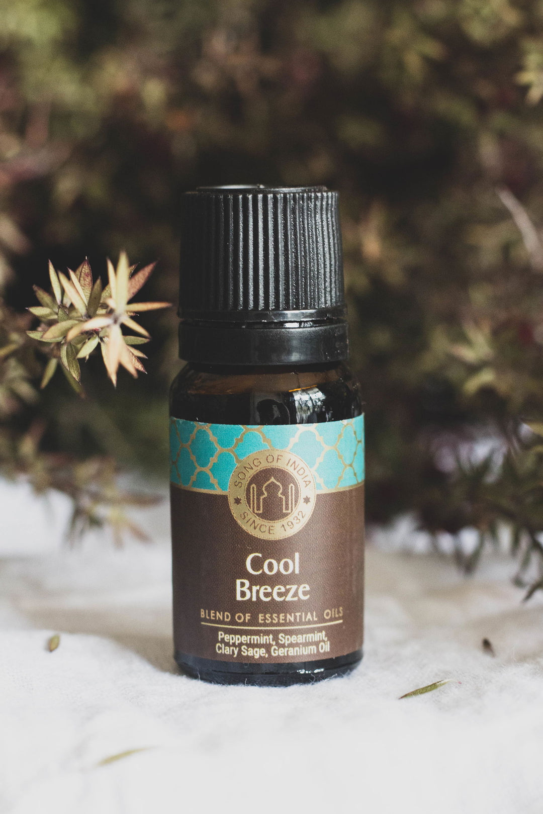 Cool Breeze Eo Blend - eKo NZ - 