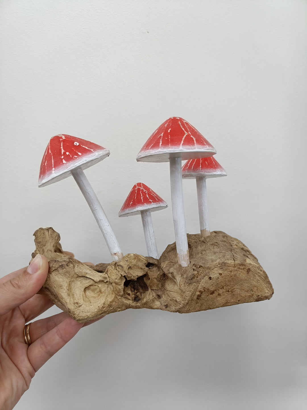 Toadstool (4)