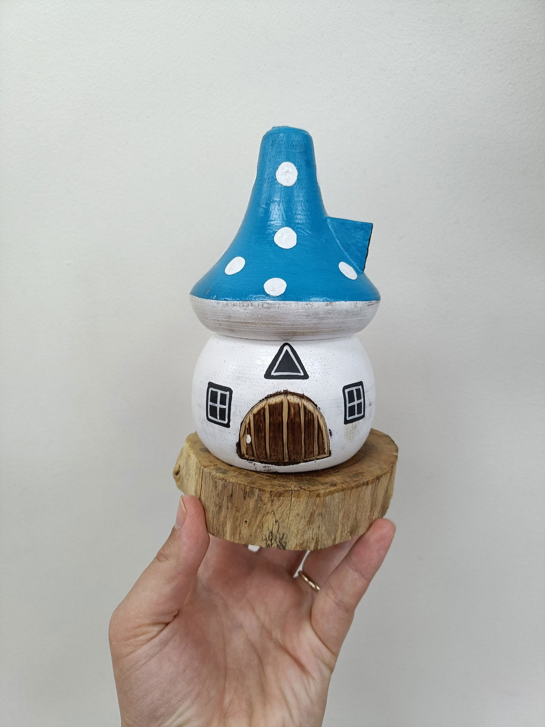 Mushroom Blue Roof - eKo NZ - 