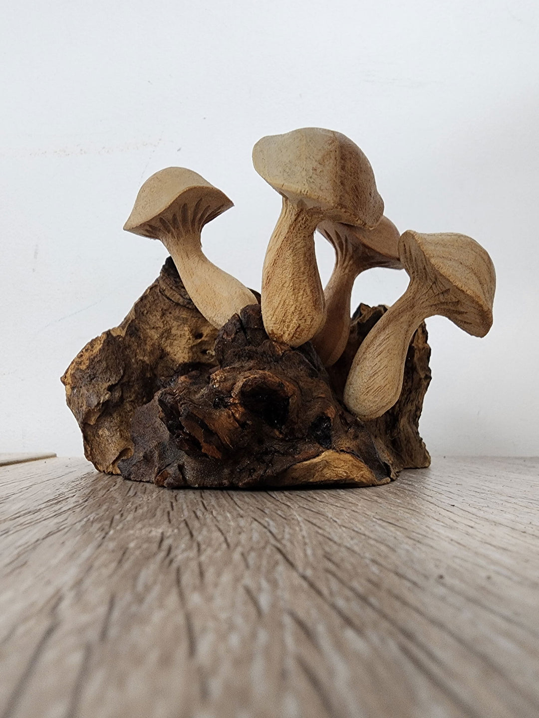 Pwood Mushroom 5 - eKo NZ - 