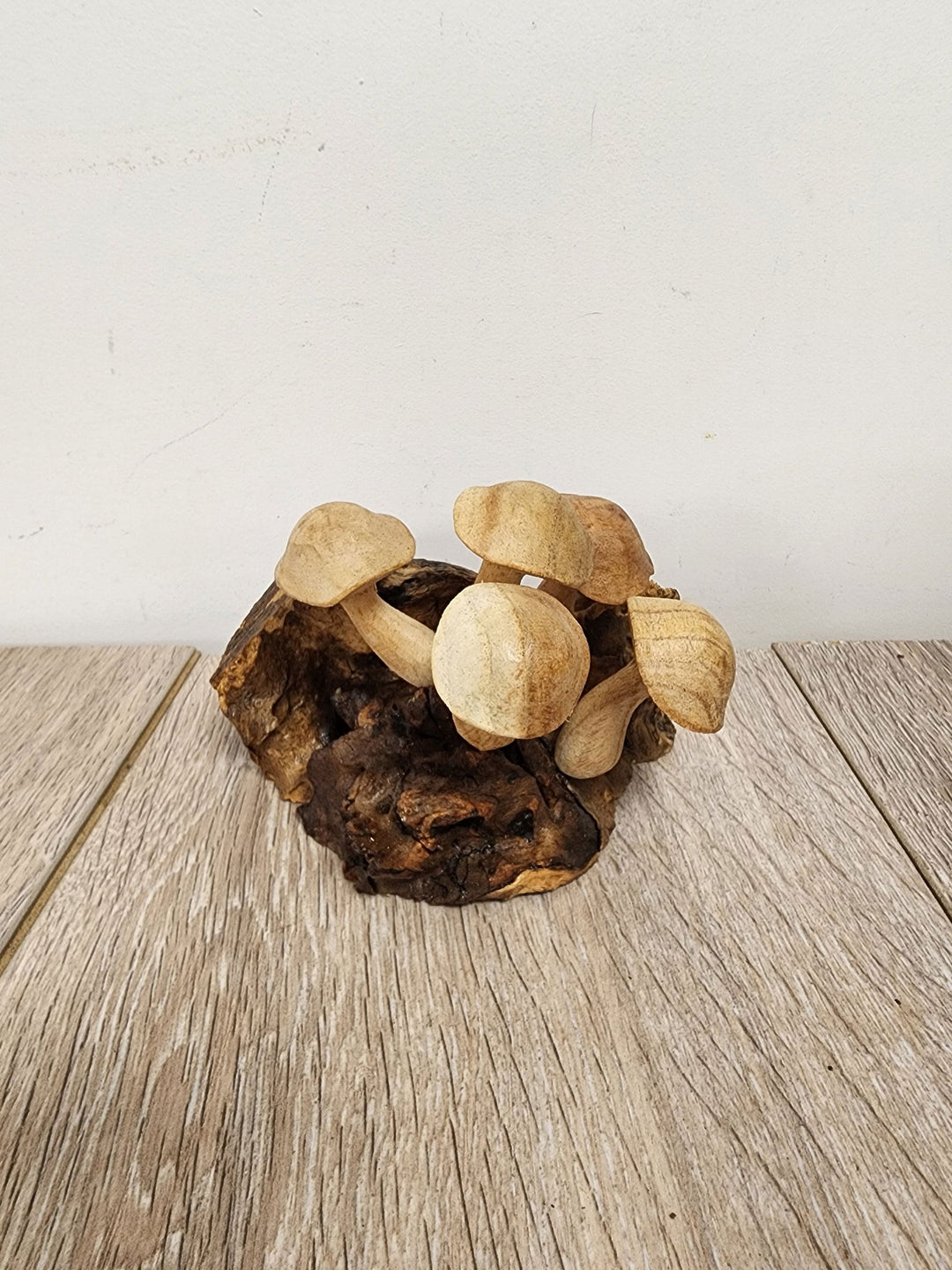 Pwood Mushroom 5 - eKo NZ - 