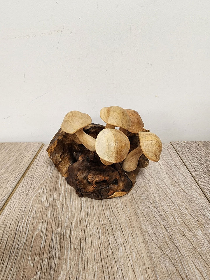Pwood Mushroom 5 - eKo NZ - 