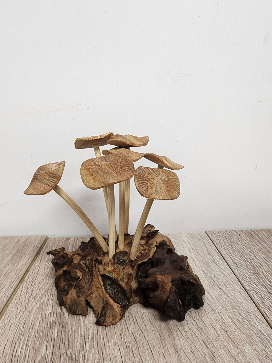 Pwood Mushroom 7 - eKo NZ - 