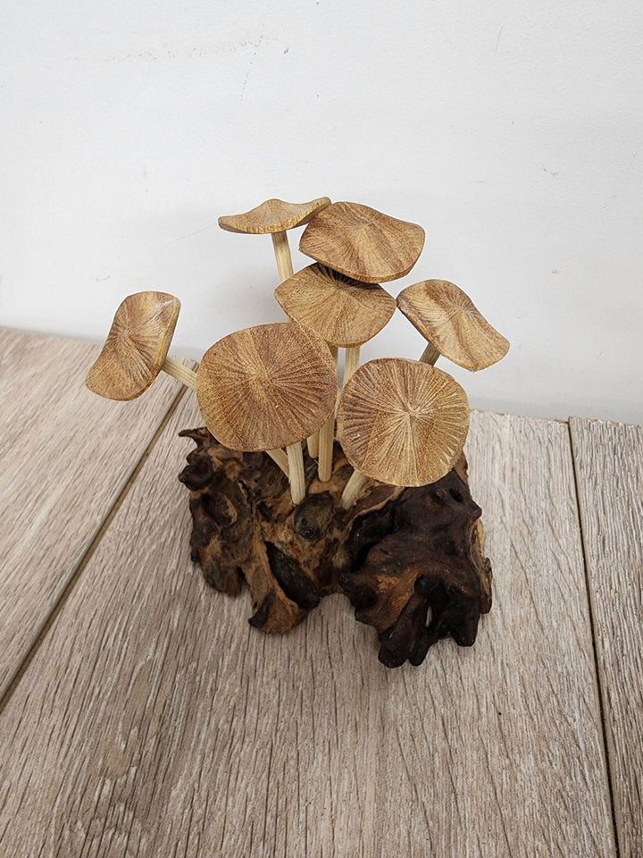 Pwood Mushroom 7 - eKo NZ - 