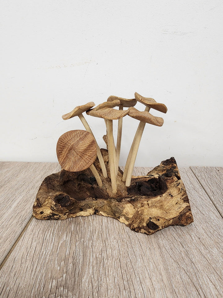 Pwood Mushroom 7 - eKo NZ - 