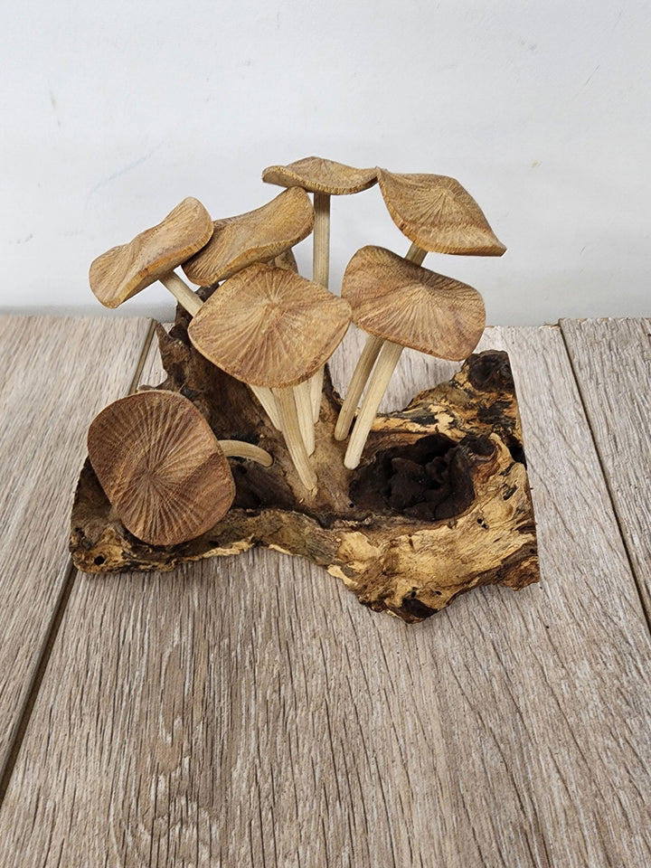 Pwood Mushroom 7 - eKo NZ - 