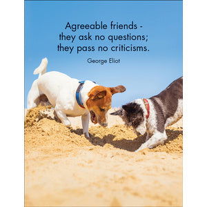 Quote Box - Every Dog - eKo NZ - 