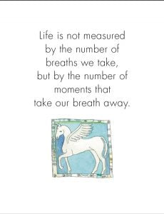 Quote Box - Happiness - eKo NZ - 