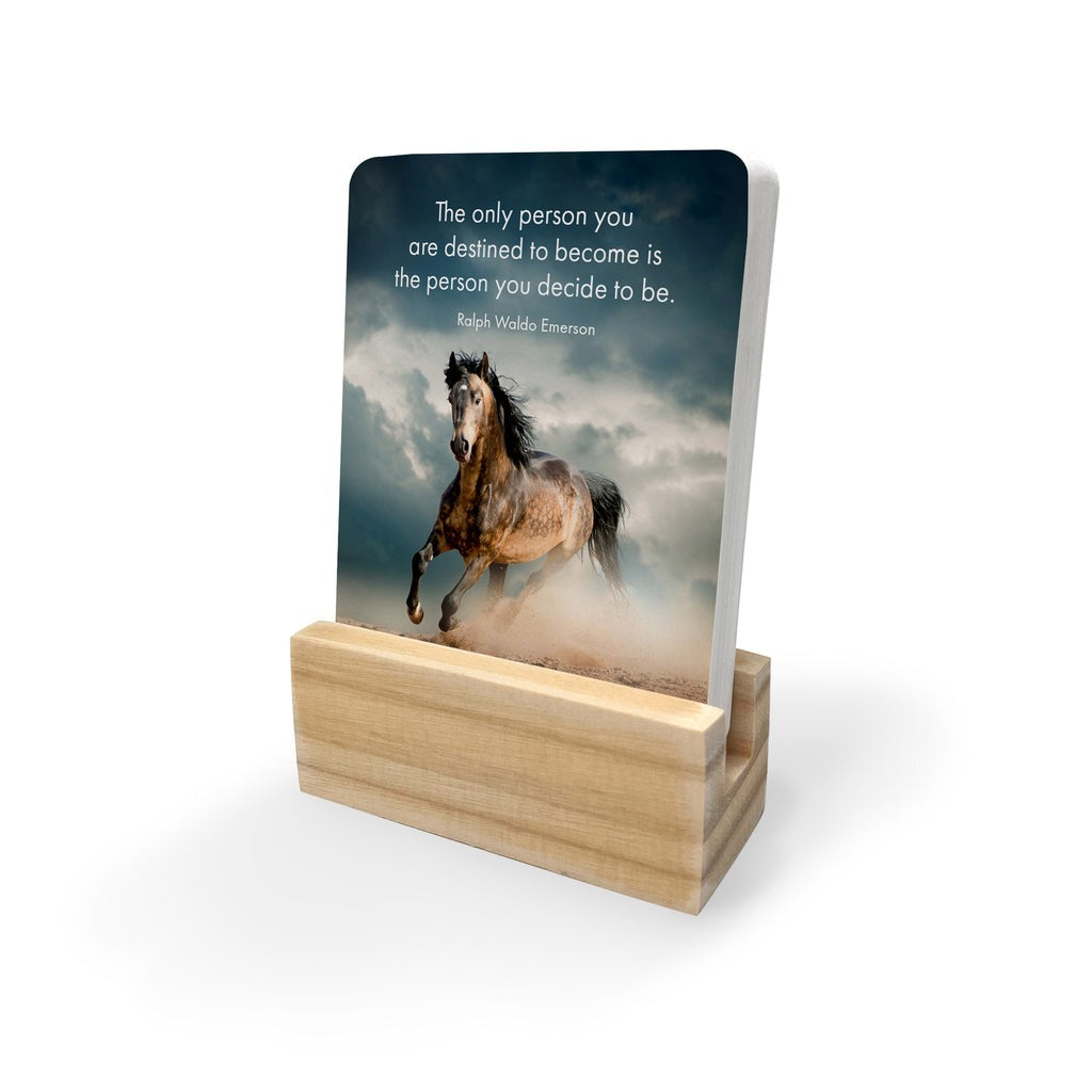 Quote Box - Horse Power - eKo NZ - 