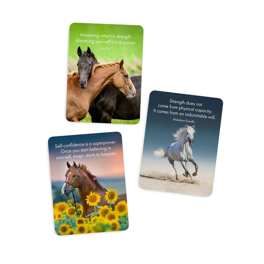 Quote Box - Horse Power - eKo NZ - 