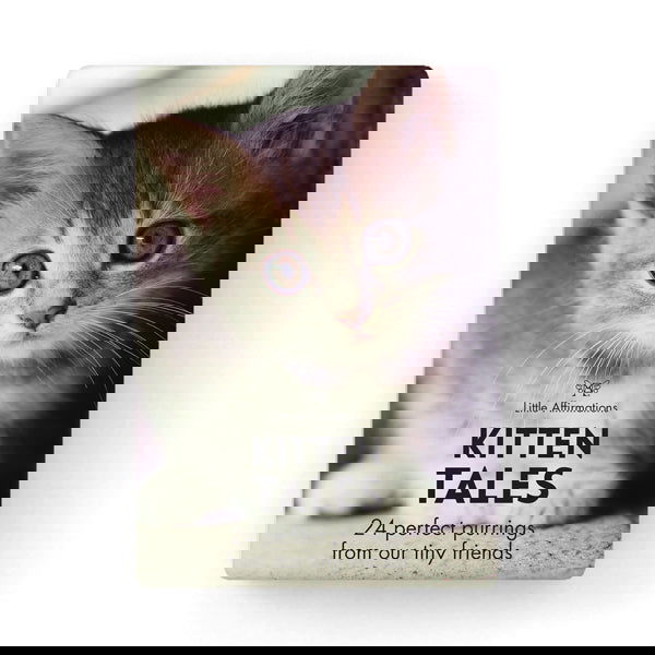 Quote Box - Kitten Tales - eKo NZ - 