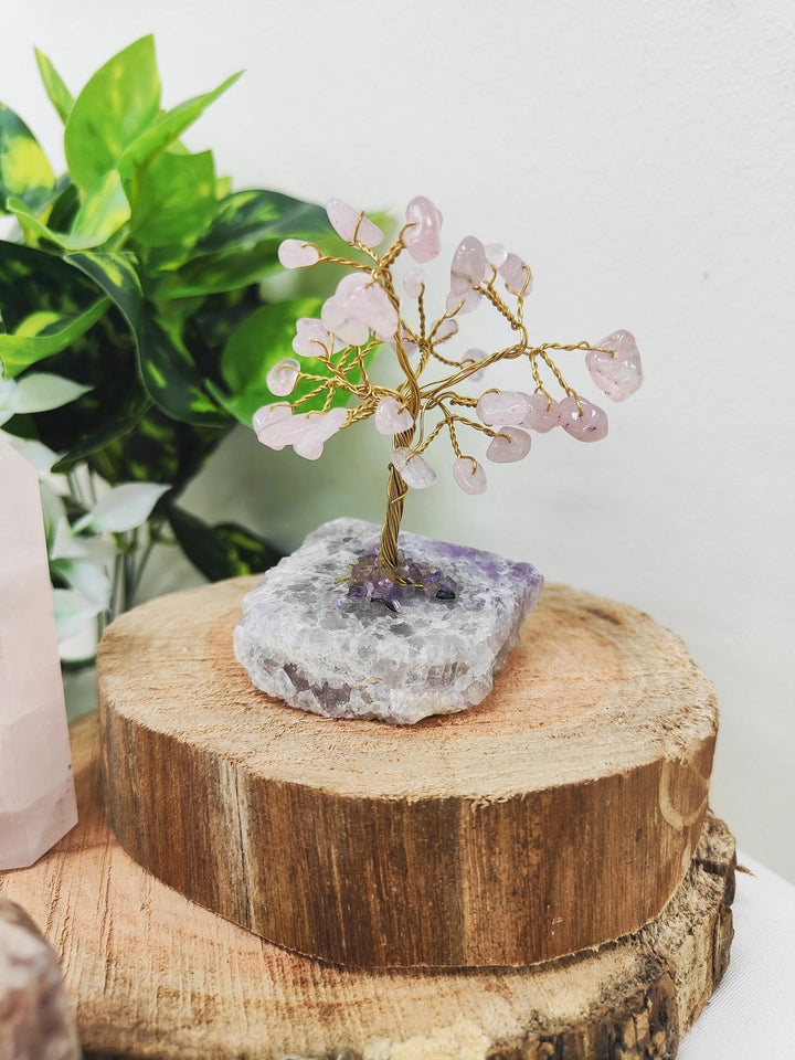 Rose Quarts Gem Tree - eKo NZ - 