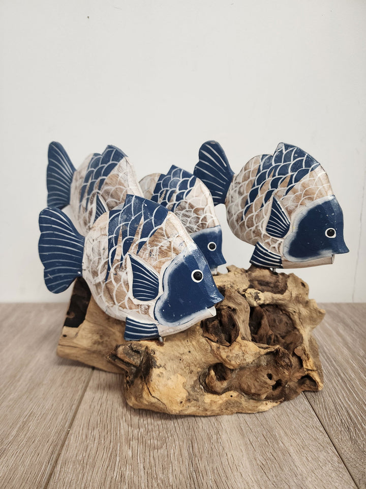 School Fish 4 - eKo NZ - 
