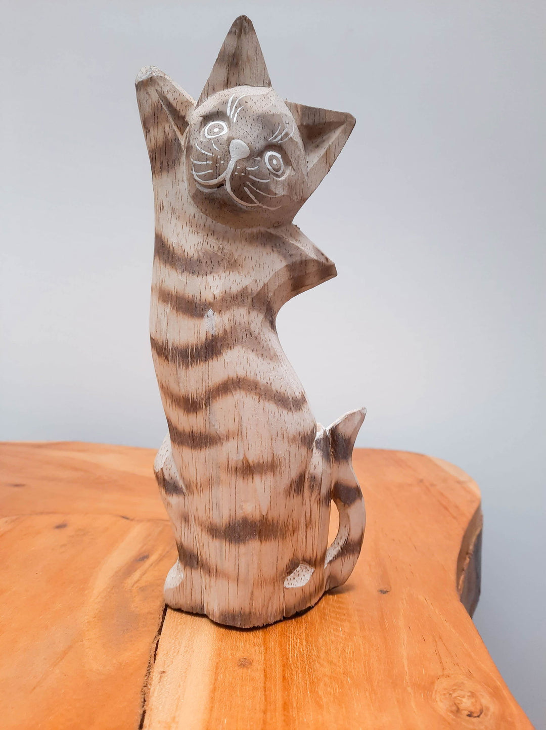 Sexy Cat Small - eKo NZ - 