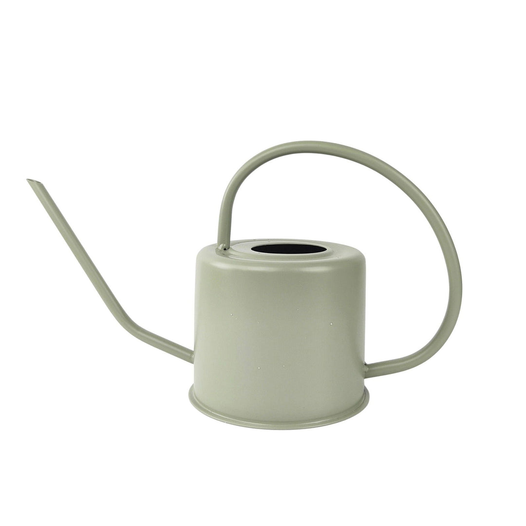Watering Can Sage - eKo NZ - 