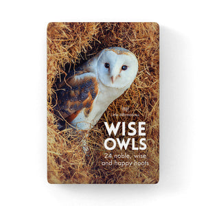 Quote Box - Wise Owls