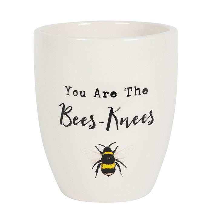 Bees Knees Bee Plant Pot