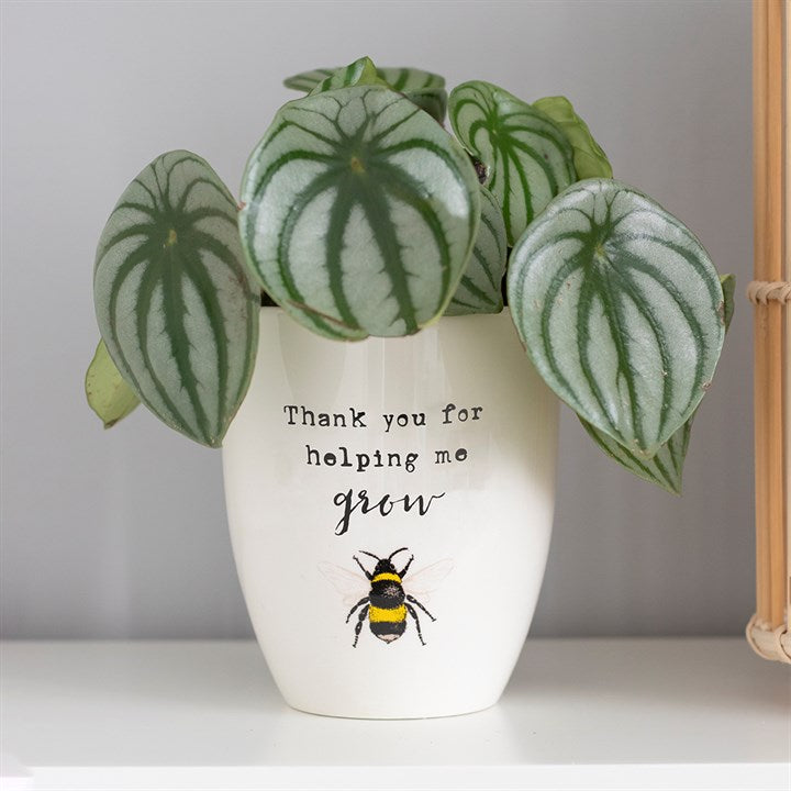 Thanks For Helping Me Grow Bee Plant Pot