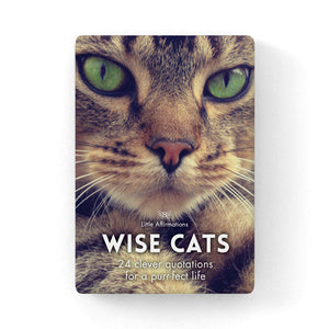 Quote Box - Wise Cats