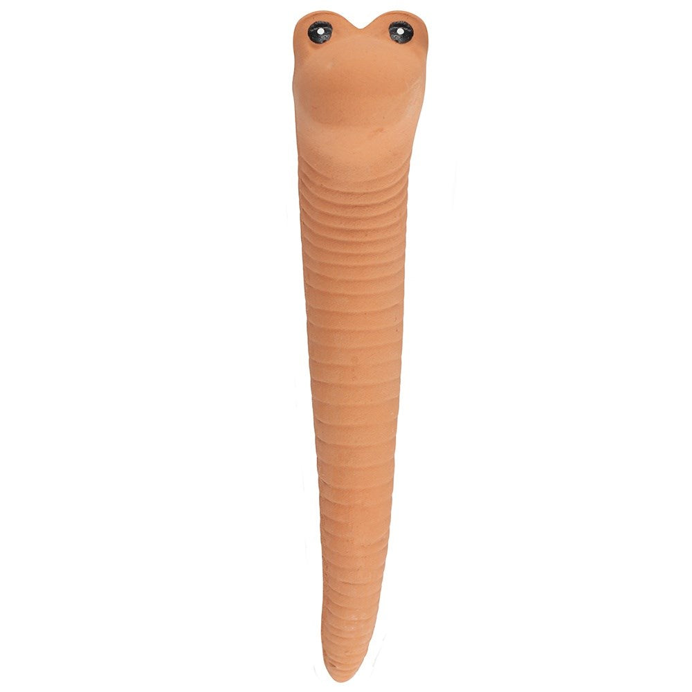 Willy The Worm