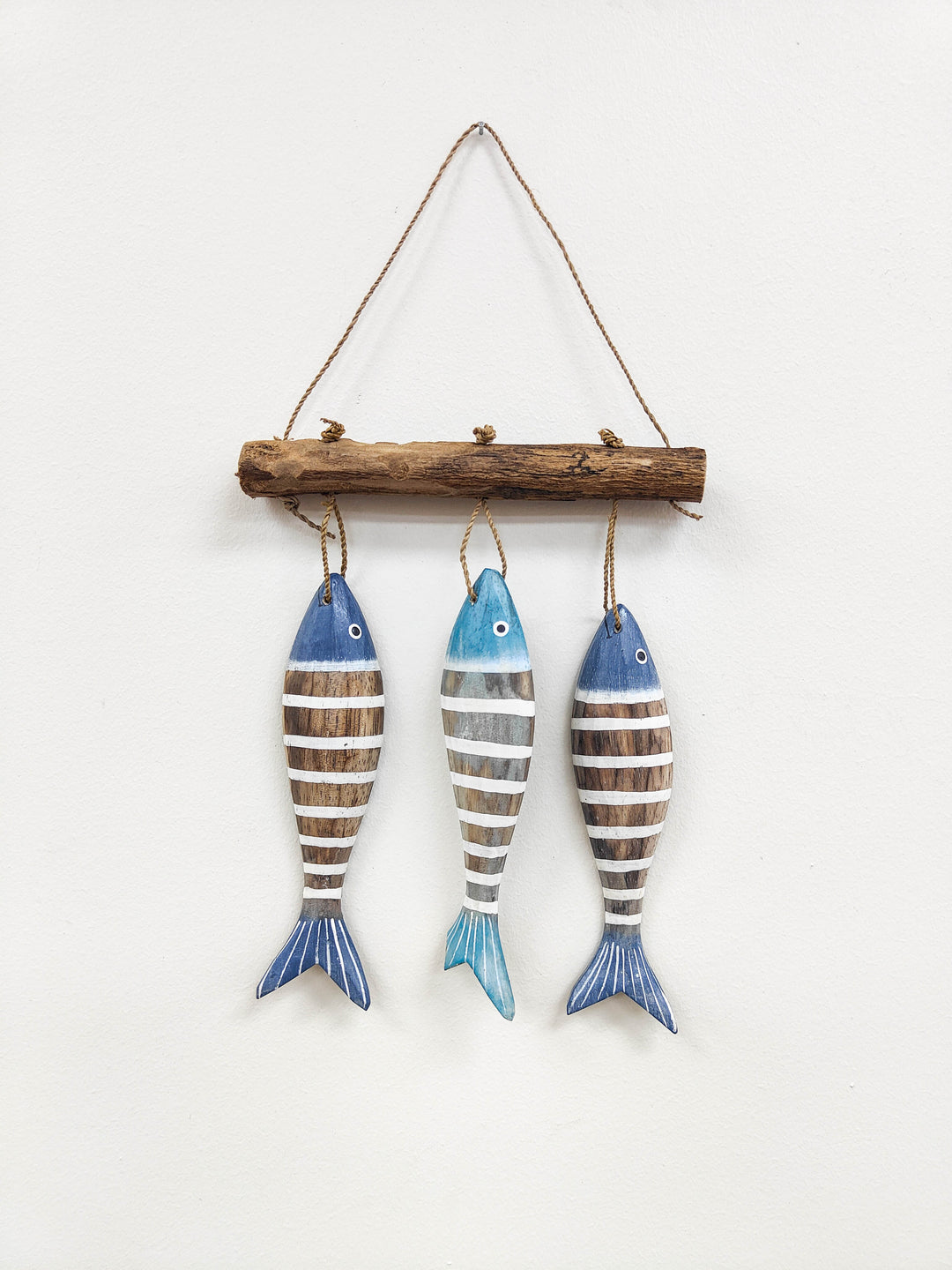 Hanging Sardines (3)